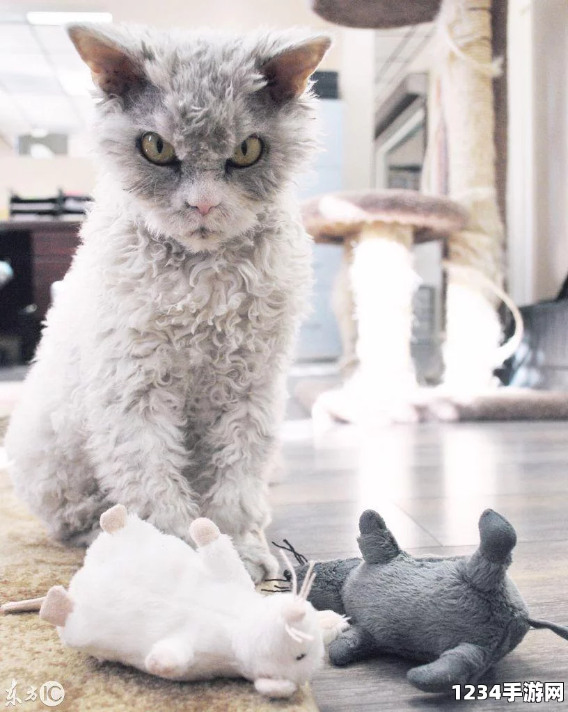 愤怒猫Albert，头套之下的神秘外星形象揭秘（高清组图）