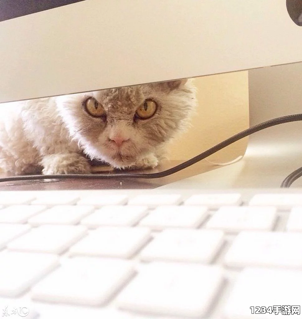 愤怒猫Albert，头套之下的神秘外星形象揭秘（高清组图）