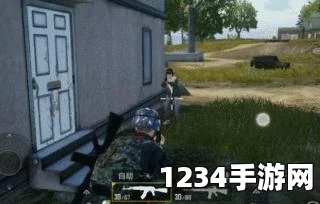 和平精英与刺激战场的差异分析
