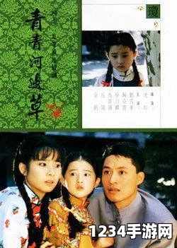 暴风雪侵袭新西兰北岛滑雪胜地，超过500名游客被困——应对极端天气的挑战