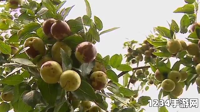 暗黑破坏神2合成公式一览